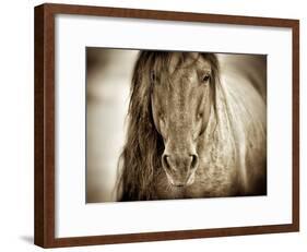 Mustang Sally-Lisa Dearing-Framed Photographic Print