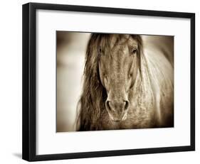 Mustang Sally-Lisa Dearing-Framed Photographic Print