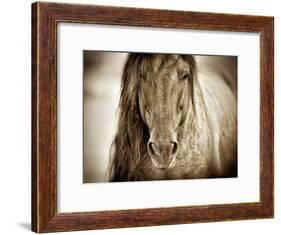 Mustang Sally-Lisa Dearing-Framed Photographic Print