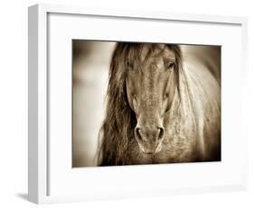 Mustang Sally-Lisa Dearing-Framed Photographic Print