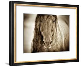 Mustang Sally-Lisa Dearing-Framed Photographic Print