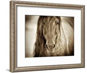 Mustang Sally-Lisa Dearing-Framed Photographic Print