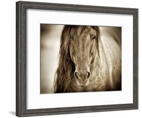 Mustang Sally-Lisa Dearing-Framed Photographic Print