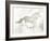 Mustang Study Neutral-Studio Mousseau-Framed Art Print