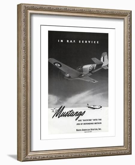 Mustangs In R.A.F. Service-null-Framed Art Print