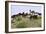 Mustangs of the Badlands-1399-Gordon Semmens-Framed Photographic Print