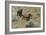 Mustangs of the Badlands-1474-Gordon Semmens-Framed Photographic Print