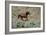 Mustangs of the Badlands-1476-Gordon Semmens-Framed Photographic Print