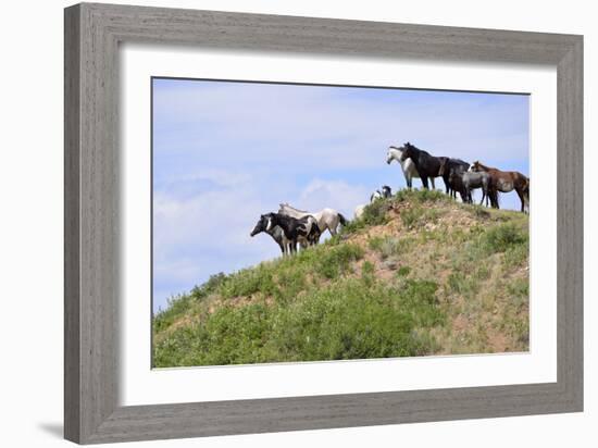 Mustangs of the Badlands-1501-Gordon Semmens-Framed Photographic Print