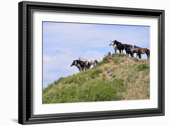 Mustangs of the Badlands-1501-Gordon Semmens-Framed Photographic Print