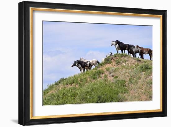 Mustangs of the Badlands-1501-Gordon Semmens-Framed Photographic Print
