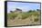 Mustangs of the Badlands-1503-Gordon Semmens-Framed Stretched Canvas