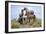 Mustangs of the Badlands-1529-Gordon Semmens-Framed Photographic Print