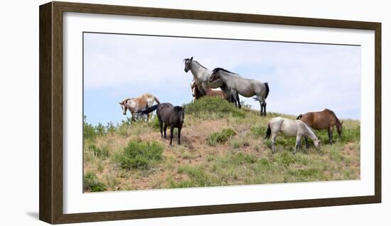 Mustangs of the Badlands-1543-Gordon Semmens-Framed Photographic Print