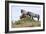 Mustangs of the Badlands-1551-Gordon Semmens-Framed Photographic Print