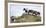 Mustangs of the Badlands-1561-Gordon Semmens-Framed Photographic Print