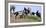 Mustangs of the Badlands-1588-Gordon Semmens-Framed Photographic Print