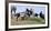 Mustangs of the Badlands-1588-Gordon Semmens-Framed Photographic Print