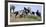 Mustangs of the Badlands-1588-Gordon Semmens-Framed Photographic Print