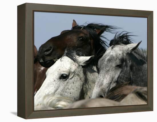 Mustangs Savior-Ann Heisenfelt-Framed Premier Image Canvas