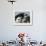 Mustangs Savior-Ann Heisenfelt-Framed Photographic Print displayed on a wall