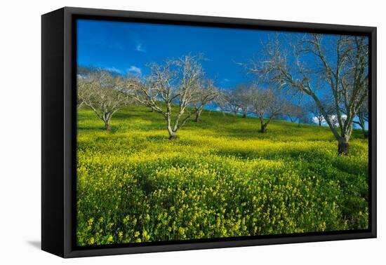 Mustard Factory I-Mark Geistweite-Framed Premier Image Canvas