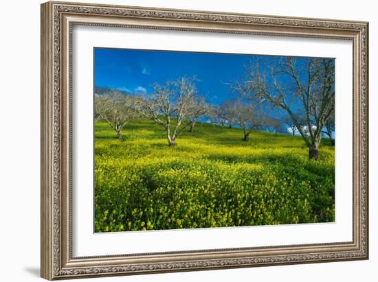 Mustard Factory I-Mark Geistweite-Framed Photographic Print