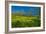 Mustard Factory I-Mark Geistweite-Framed Photographic Print