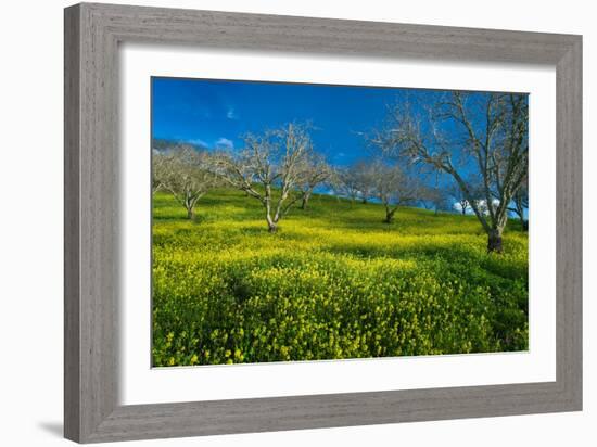 Mustard Factory I-Mark Geistweite-Framed Photographic Print