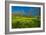 Mustard Factory I-Mark Geistweite-Framed Photographic Print