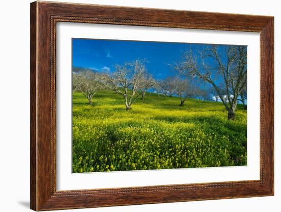 Mustard Factory I-Mark Geistweite-Framed Photographic Print