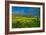 Mustard Factory I-Mark Geistweite-Framed Photographic Print