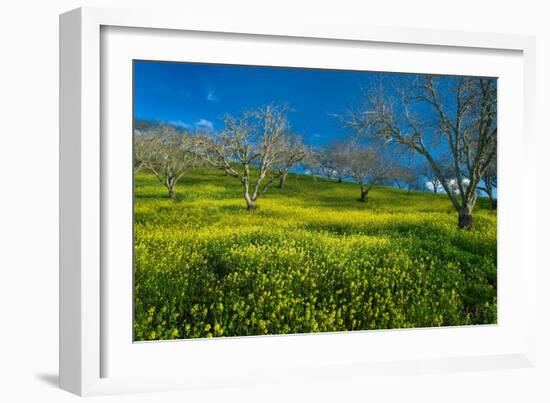 Mustard Factory I-Mark Geistweite-Framed Photographic Print