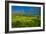 Mustard Factory I-Mark Geistweite-Framed Photographic Print