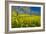 Mustard Factory II-Mark Geistweite-Framed Photographic Print