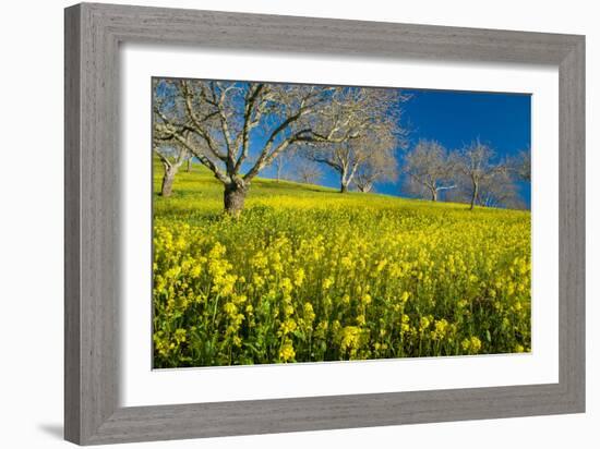 Mustard Factory II-Mark Geistweite-Framed Photographic Print