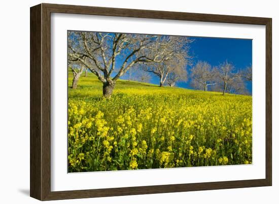 Mustard Factory II-Mark Geistweite-Framed Photographic Print