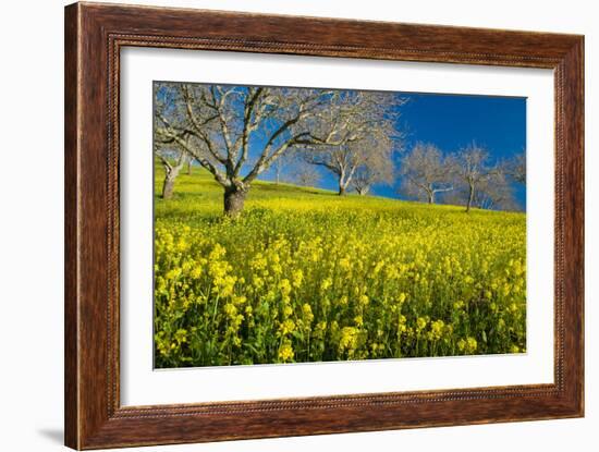 Mustard Factory II-Mark Geistweite-Framed Photographic Print