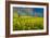 Mustard Factory II-Mark Geistweite-Framed Photographic Print