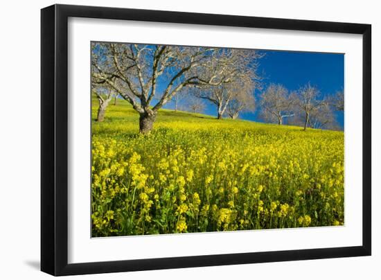 Mustard Factory II-Mark Geistweite-Framed Photographic Print