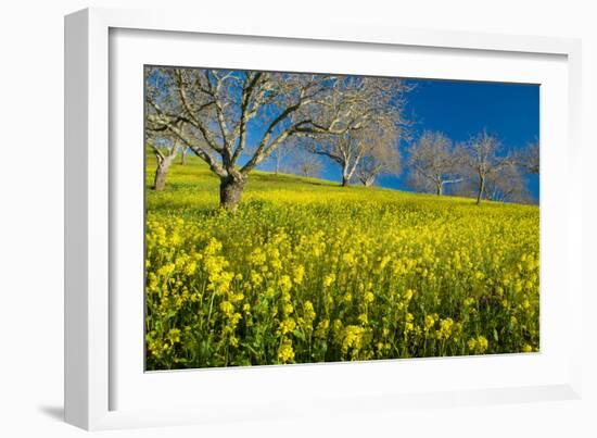 Mustard Factory II-Mark Geistweite-Framed Photographic Print