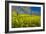 Mustard Factory II-Mark Geistweite-Framed Photographic Print