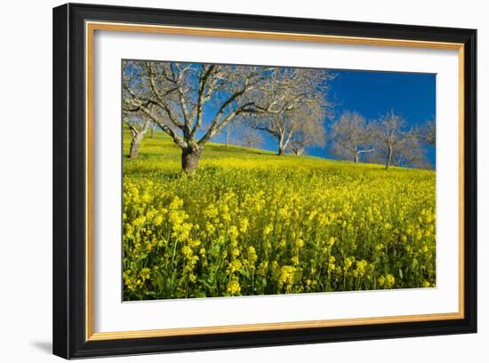 Mustard Factory II-Mark Geistweite-Framed Photographic Print