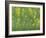 Mustard fields, Ohio.-Maresa Pryor-Framed Photographic Print