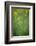 Mustard fields, Ohio.-Maresa Pryor-Framed Photographic Print