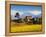 Mustard Fields with the Annapurna Range of the Himalayas in the Background, Gandaki, Nepal, Asia-Mark Chivers-Framed Premier Image Canvas