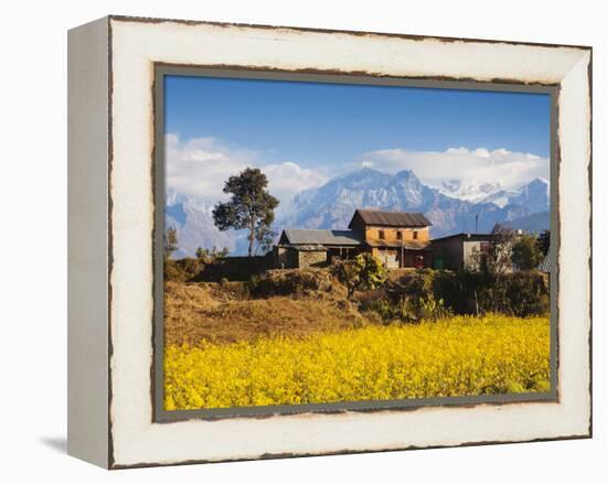 Mustard Fields with the Annapurna Range of the Himalayas in the Background, Gandaki, Nepal, Asia-Mark Chivers-Framed Premier Image Canvas