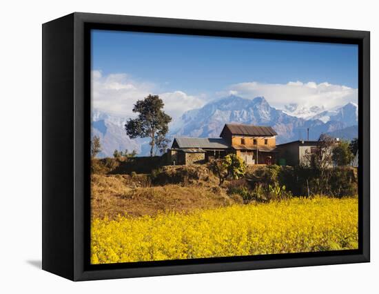 Mustard Fields with the Annapurna Range of the Himalayas in the Background, Gandaki, Nepal, Asia-Mark Chivers-Framed Premier Image Canvas