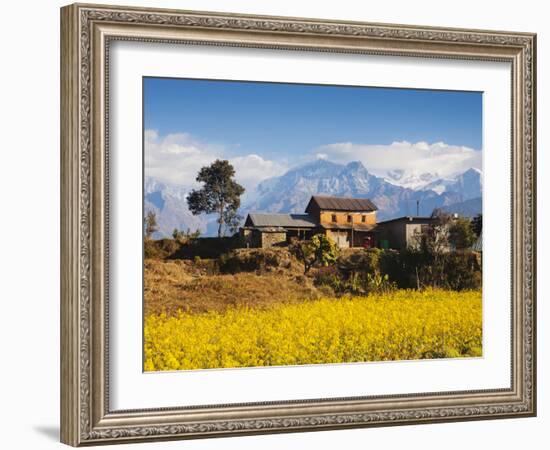 Mustard Fields with the Annapurna Range of the Himalayas in the Background, Gandaki, Nepal, Asia-Mark Chivers-Framed Photographic Print