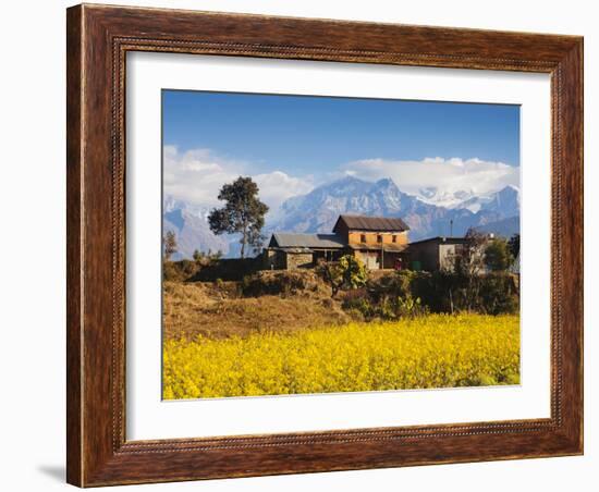 Mustard Fields with the Annapurna Range of the Himalayas in the Background, Gandaki, Nepal, Asia-Mark Chivers-Framed Photographic Print